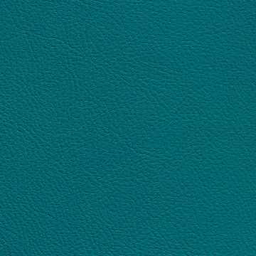 Chance Teal 16869