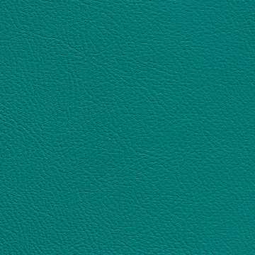 Chance Viridian 9672