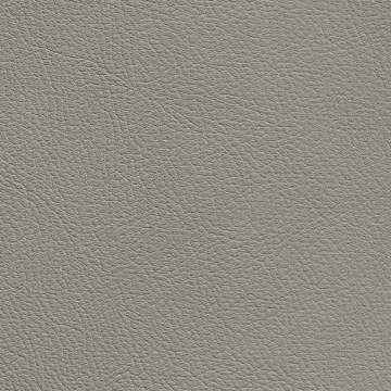 Chance Silverplate 9665