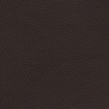 Chance Mocha 2608