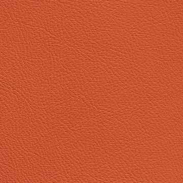 Chance Poppy 1260