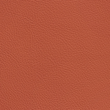 Chance Starfish 17203