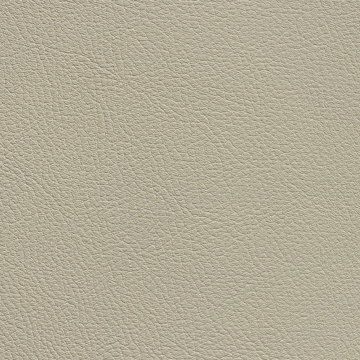 Chance Dove 2641