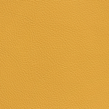 Chance Radiant 17202