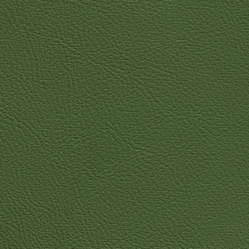 Chance Cactus 4607